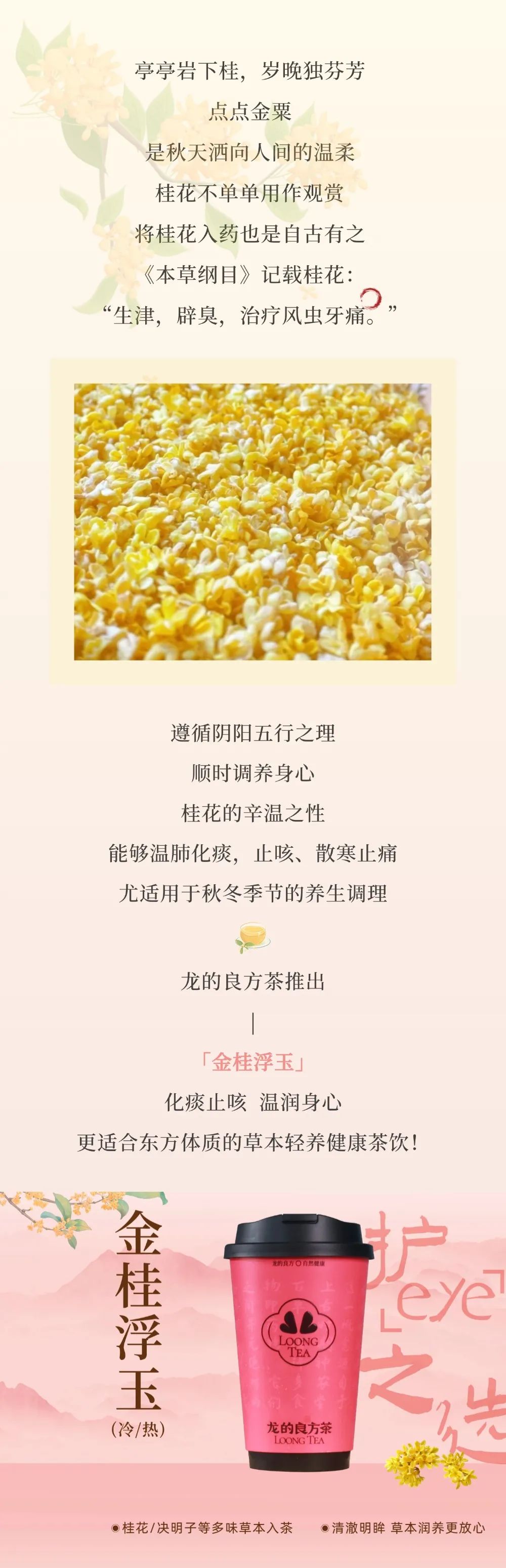 金桂浮玉 | 草本轻养 - 肝净眼亮畅轻盈